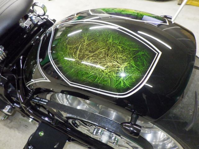 Пластик и бак